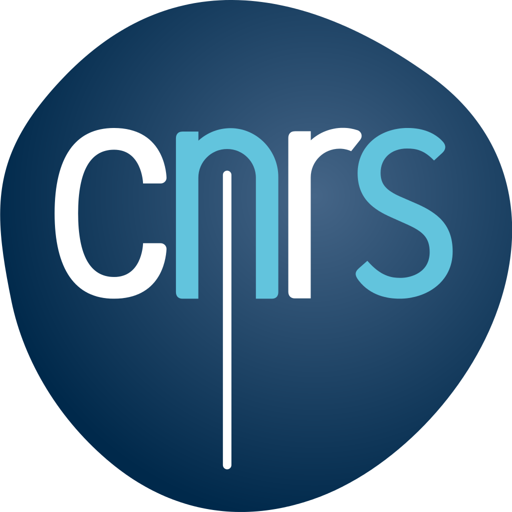 Mission pour l'interdisciplinarité du CNRS